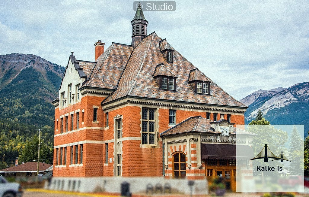 Adana Startup Ekosistemi: Yatırımcıları Etkileyen Pitch Deck Metinleri Nasıl Hazırlanır? - section 7