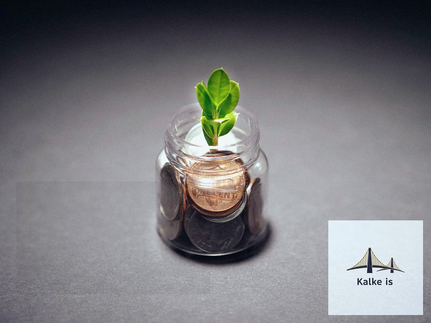 Adana Startup Ekosistemi: Yatırımcıları Etkileyen Pitch Deck Metinleri Nasıl Hazırlanır? - section 6